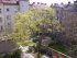 Wien (Stadt)