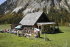 Tauplitz