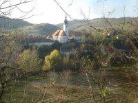 Stiefern-Bild