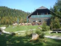 Bad Mitterndorf-Bild