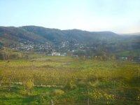 Schönberg-Bild