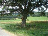 Laimbach am Ostrong-Bild
