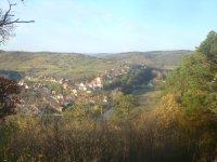 Stiefern-Bild