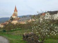Weißenkirchen in der Wachau-Bild