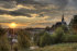 Haag