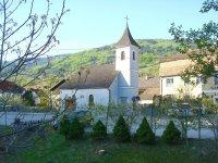 Elsarn am Jauerling-Bild