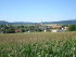 Loosdorf