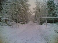 Neulengbach-Bild