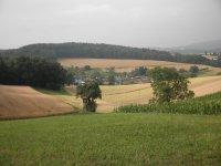 Thal-Bild