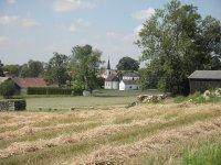Sparbach-Bild