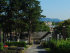 Gersthofer Friedhof, 1180 Wien, Währing