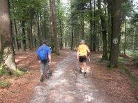 Mistlberg-Bild