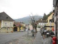 Spitz-Bild