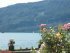 Strobl