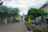 Purkersdorf