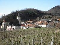 Spitz-Bild