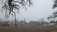 Projern-Bild