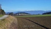 Projern-Bild