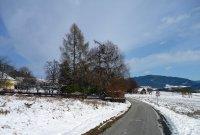 Laasdorf-Bild