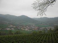 Trandorf-Bild