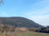 Dellach