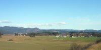 Zinsdorf-Bild