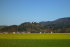 Dreilach