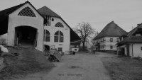 Wainz-Bild