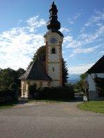 Sittich-Bild