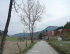Zmuln