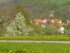 Feichsen