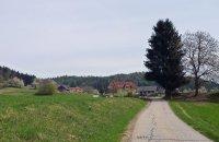Saberda-Bild