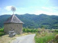 Wösendorf in der Wachau-Bild