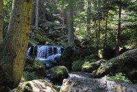 Pehendorf-Bild
