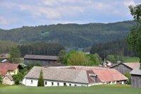 Pehendorf-Bild