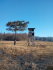 Altenmarkt im Thale
