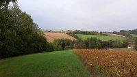 Margarethen-Bild